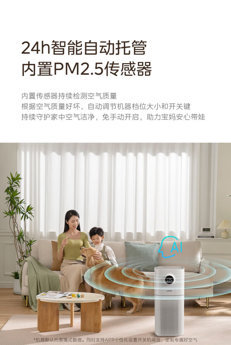 凈化器12